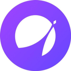 APX网络