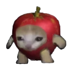 苹果猫