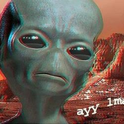 哎呀大笑币