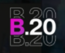 B20网络