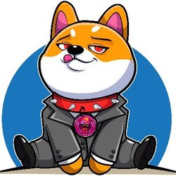 宝宝狗狗币Inu
