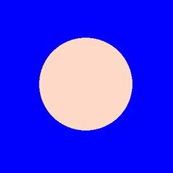 巴德
