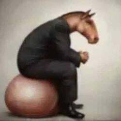 睾丸多卡尔币