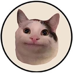 白鲸猫