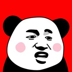 表情波场网络