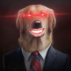 十亿美元犬币