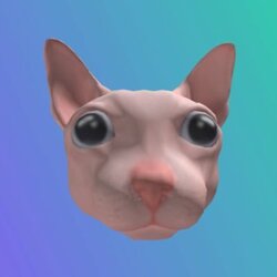 宾格斯猫币