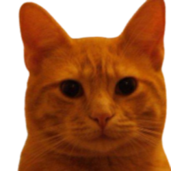 比特币猫