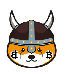 比特弗洛基