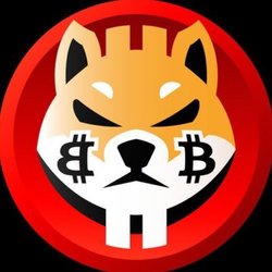 比特柴犬