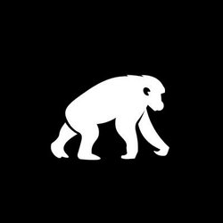 黑池