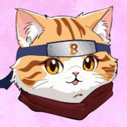 博布基猫