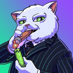 蜡烛猫