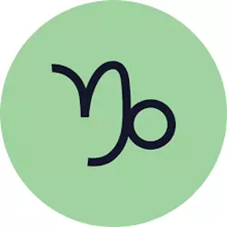 摩羯座