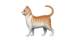猫咪表情币