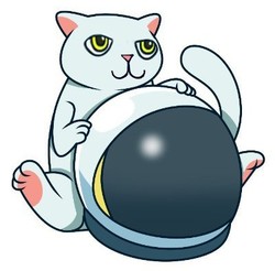 月猫CAT