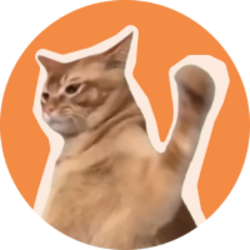 猫巴掌币