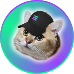 猫帽币