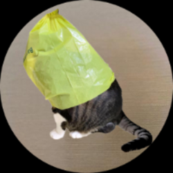 猫咪钱包