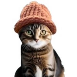 猫巫帽