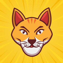 查德猫币