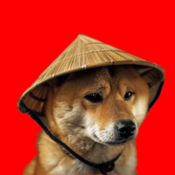 中国狗狗哇币