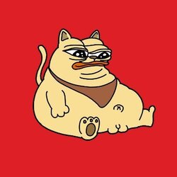 CHONKY网络