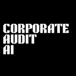 企业审计AI