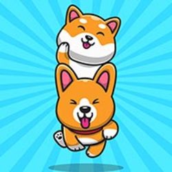 科希犬