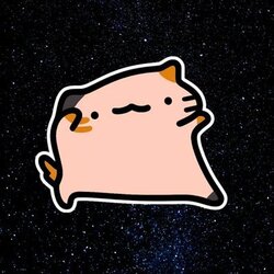 碎屑猫