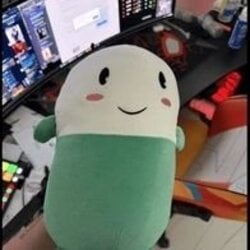 卡普西网络