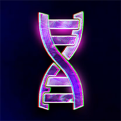 DNA网络