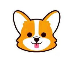 狗狗币