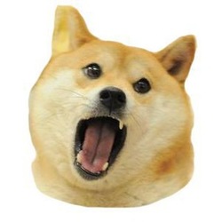 狗狗吃狗狗币