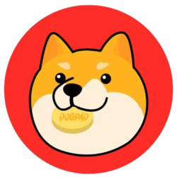 狗垫金融