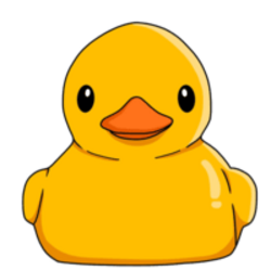 鸭子网络