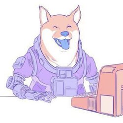 以太坊狗狗币