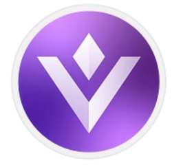 VGX代币