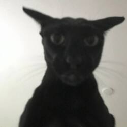 邪恶拉里