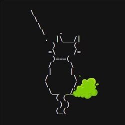 放屁猫