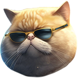 肥猫