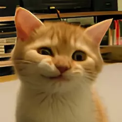 第一回复