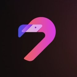 火烈鸟金融