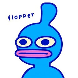 弗洛珀网络