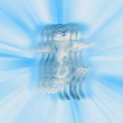 Flow网络