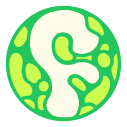 泡沫网络