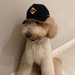 毛理财顾问
