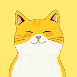 金猫网络