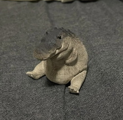 橡胶鳄鱼