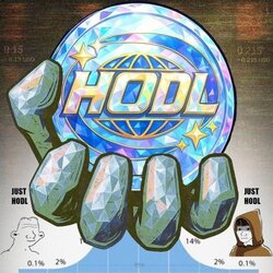HODL币